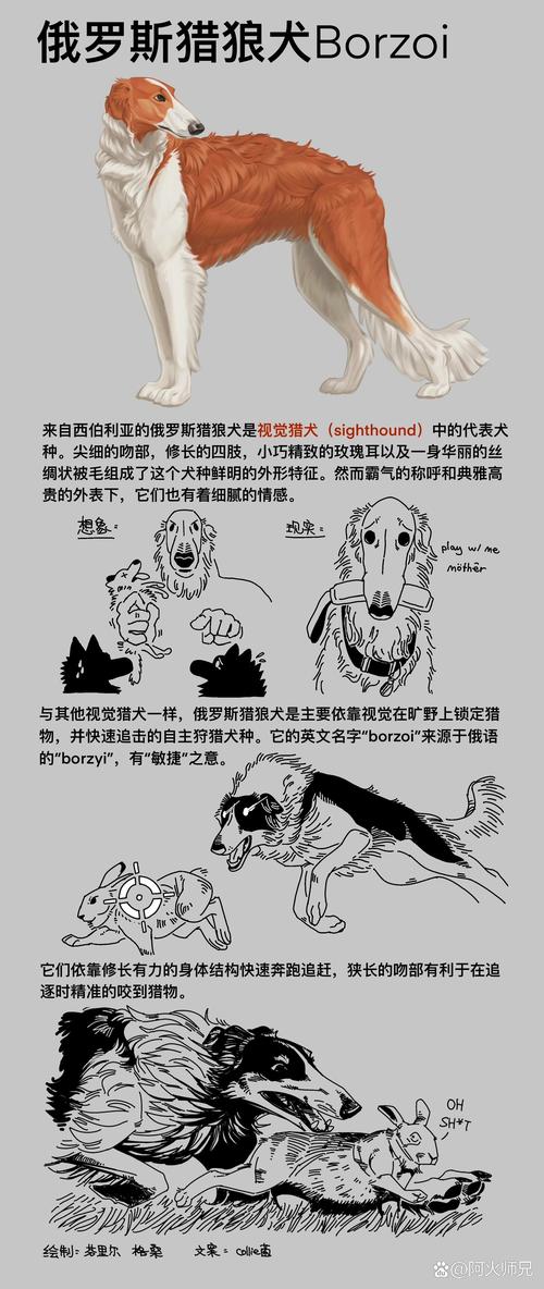 梦见猎犬详细解析象征忠诚与挑战，引发内心深思！