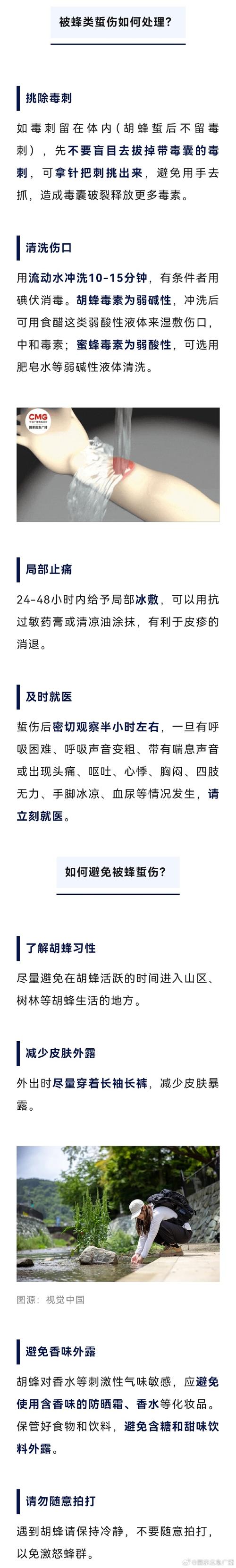 梦见蜂箱的8种解读及其背后的心理暗示