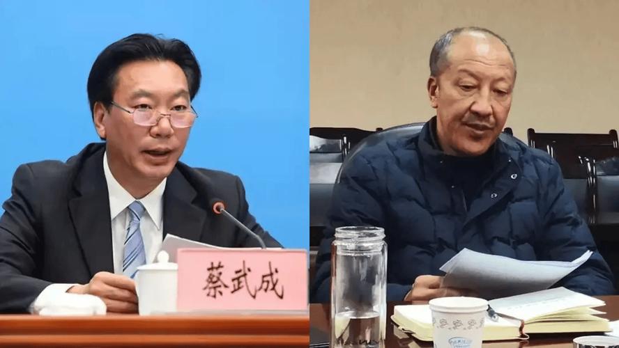 为何两名老同事在同一天被处分？揭示蔡武成与扎西顿珠的故事