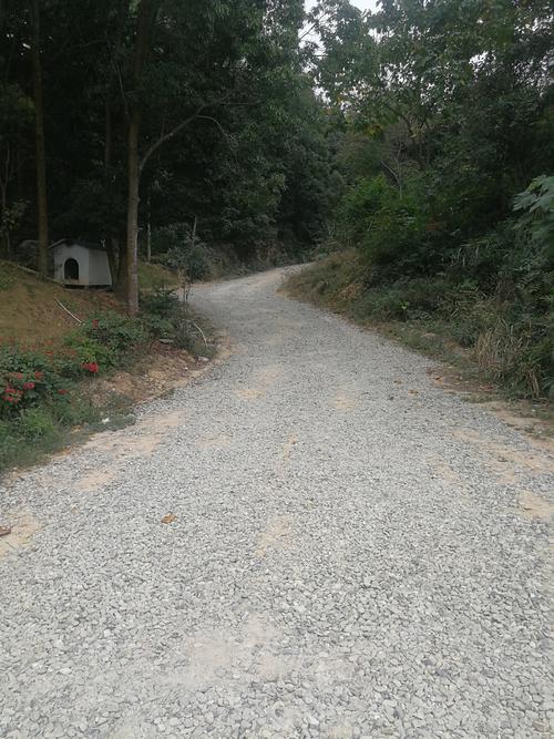 梦见碎石子路象征哪些？解密不为人知的心理暗示！