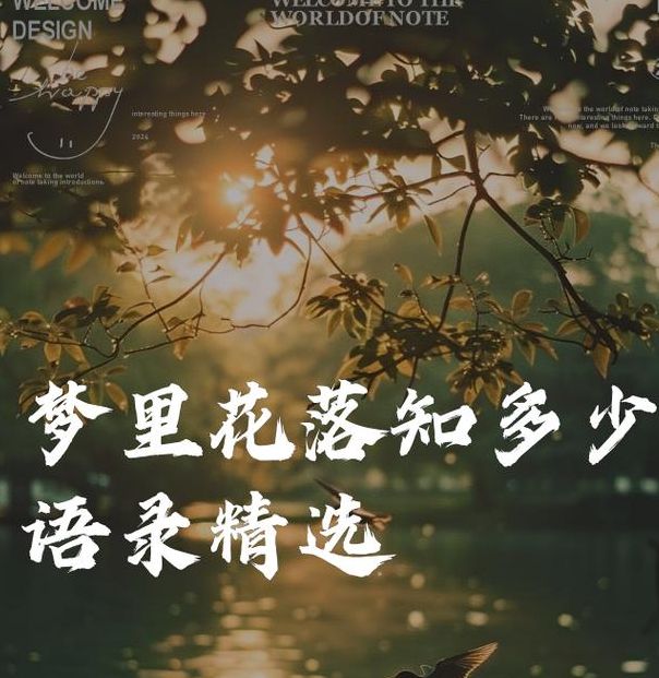 梦见花落的深层含义解密心灵信号与情感状态 梦见花落的深层含义解密心灵信号与情感状态