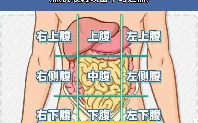 梦见肚腹解析揭示7个超实用心理解读技巧