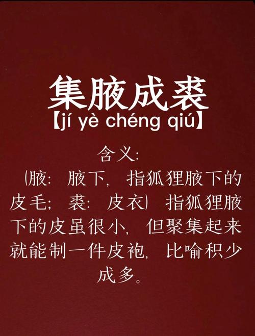 揭秘梦见裘皮背后的隐秘寓意，暗藏哪些生活玄机？