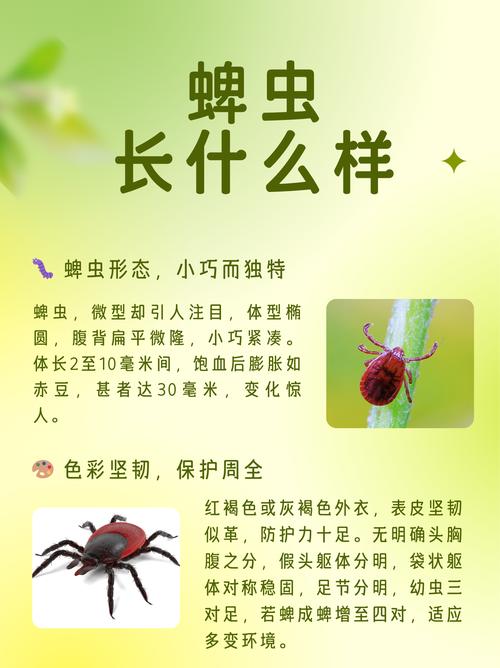 梦见爬虫类预示着哪些？揭示背后的神秘象征！