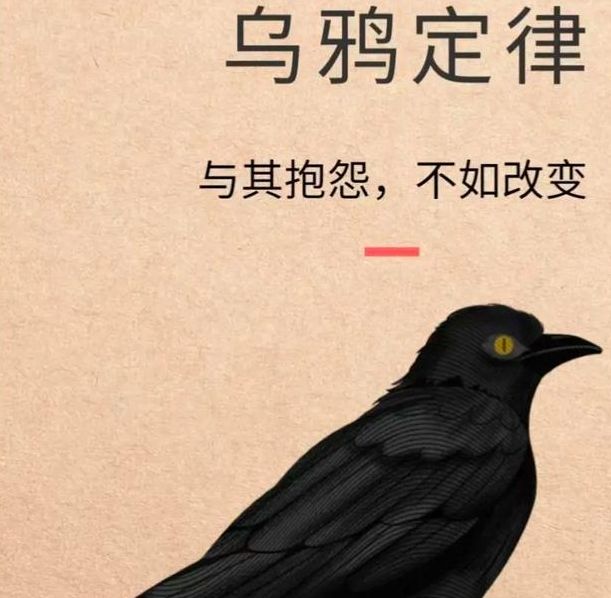 梦见寒鸦解读其深层寓意与心理象征 梦见寒鸦解读其深层寓意与心理象征