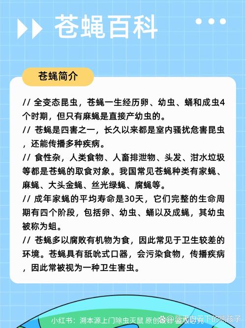 梦见苍蝇的象征意义及其高效解决方案解析