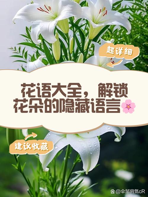 梦见假花的深层次解读揭示隐藏意义与生活启示