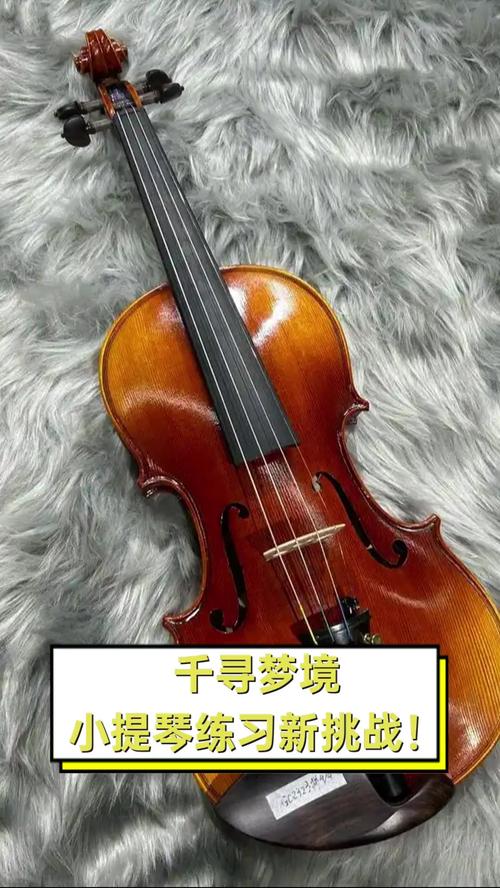 梦见小提琴预示哪些？探索梦境与音乐天赋的神秘联系！