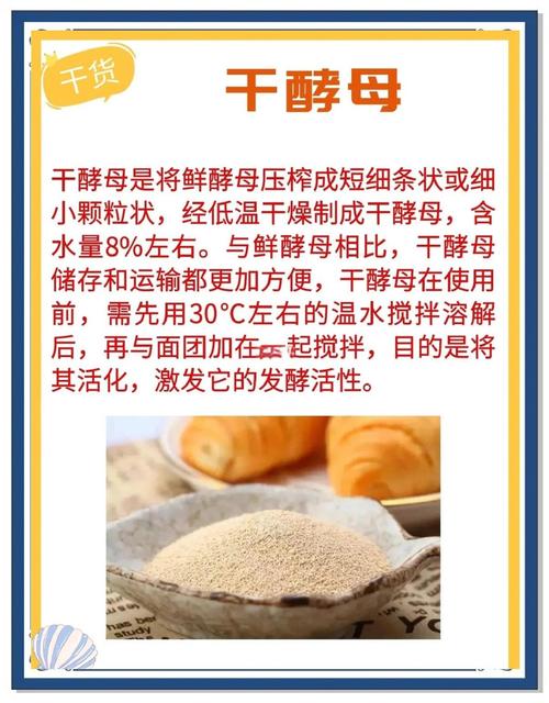 梦见酵母的深层含义解析，揭示潜意识世界的神秘魅力！
