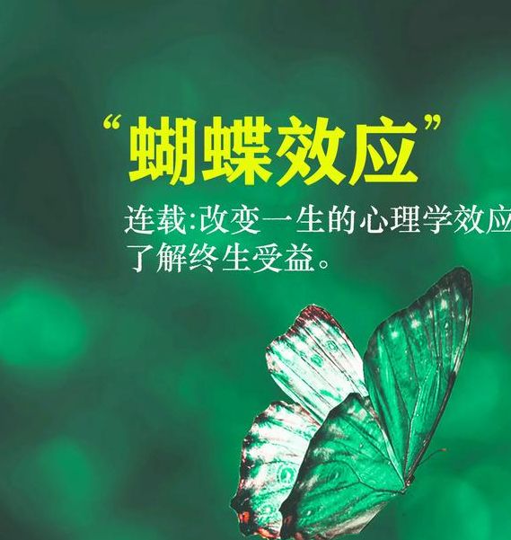 梦见断翅蝴蝶预示情感变化？解读你内心的潜在信号