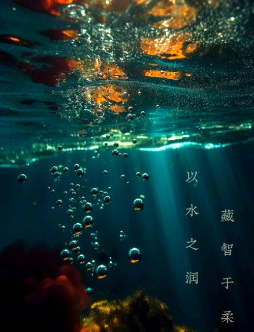 梦见水盆暗藏生活玄机，背后寓意令人深思？