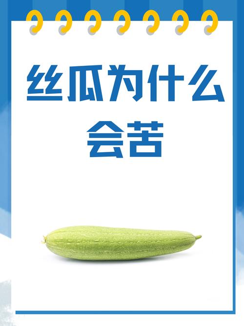 梦见丝瓜的5个心理象征及生活启示专家解读