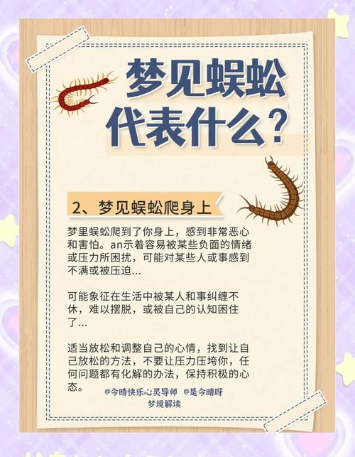 梦见小蜈蚣预示哪些？解读周公解梦中的寓意与心理分析