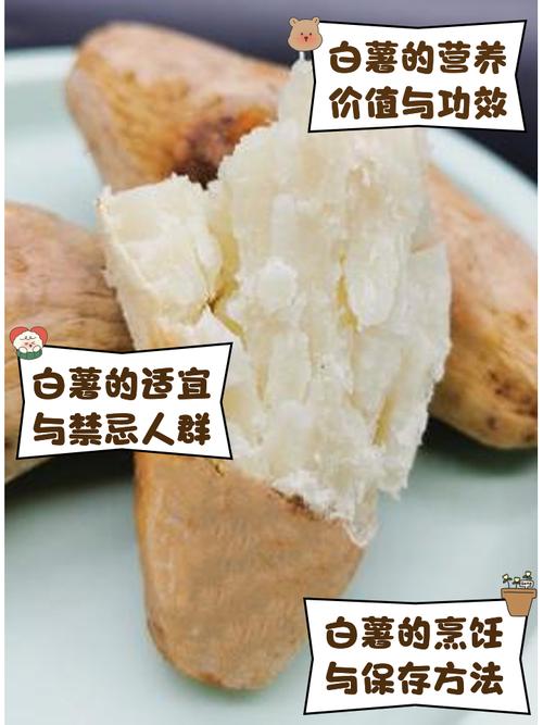梦见白薯的5个含义揭秘，提升生活运势技巧