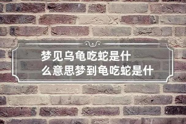 梦见乌龟吃蛇的5个象征含义，深入解析梦境玄机