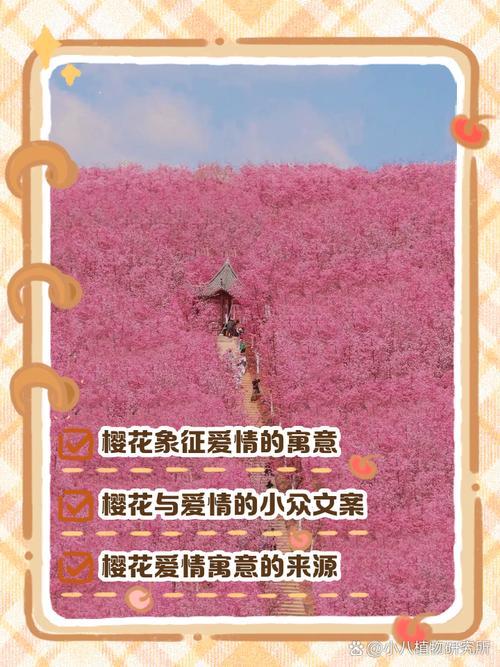 梦见樱花暗示哪些？解读梦境背后的内涵与提升生活幸福的方法