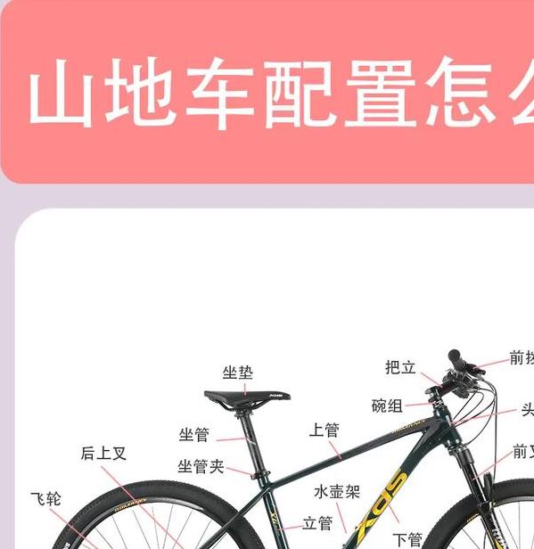 解密梦见自行车5个鲜为人知的心理学长尾解读