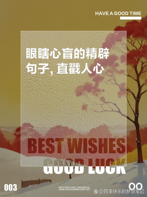梦见瞎子的含义解析心理暗示 vs 生活启示哪种更贴近实际？