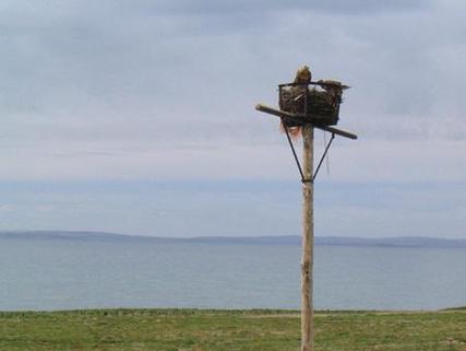 揭秘梦见建筑鹰架的寓意，如何影响你的生活走向？