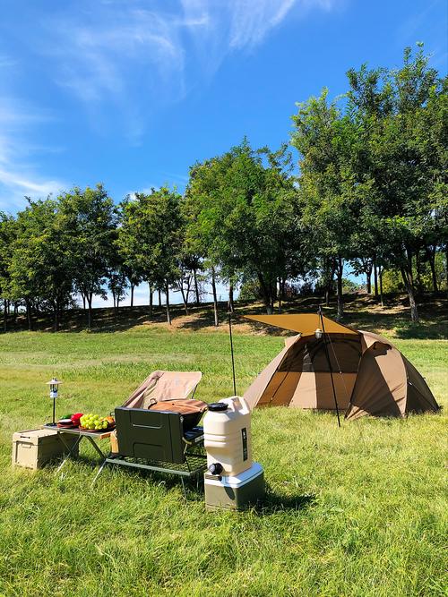 梦见野餐预示哪些？探索潜意识的自然渴望与心灵需求