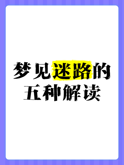 梦见两条道路预示哪些？深度解读你的梦境指引