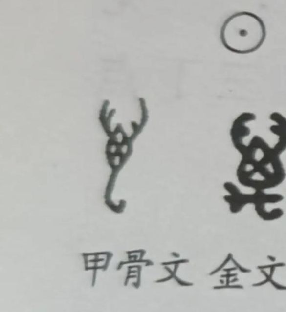 解析梦见万字标志揭示5大象征意义与心理解读