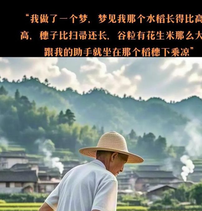 梦见稻田象征解析解密5个隐藏心理信号 梦见稻田象征解析解密5个隐藏心理信号