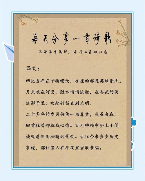 梦见杏花开寓意解析隐藏的人生启示与心理揭秘