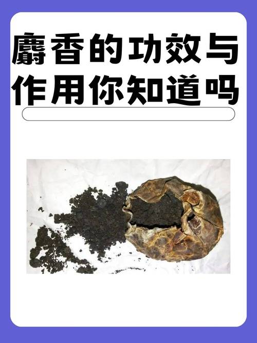 梦见麝香寓意解析独特象征与深层次心理分析