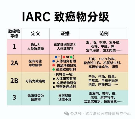 梦见节假日的5大科学解读专家详析长尾关键词优化