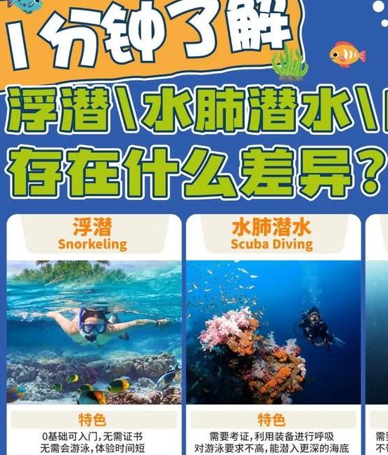 梦见潜水的5个心理暗示解读专家解析潜意识信号