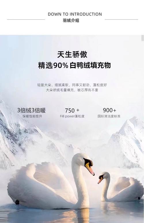 梦见羽绒服的象征意义揭秘提升生活幸福感的小技巧 梦见羽绒服的象征意义揭秘提升生活幸福感的小技巧