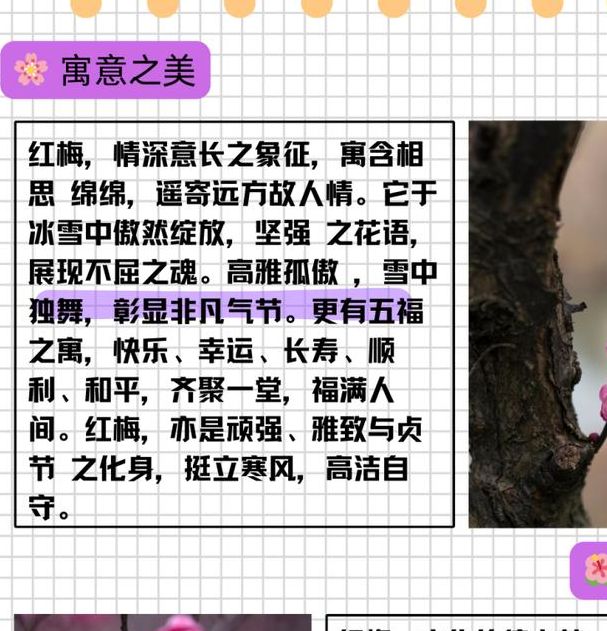 梦见酸梅的象征意义与5大心理暗示解析