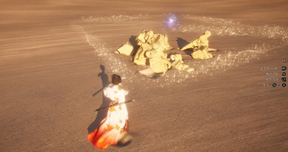 燕云十六声手游攻略：高效收集匿影飞鲶的顶级技巧与策略