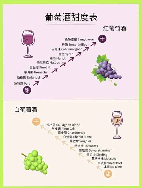 梦见葡萄酒的寓意解析解读心理暗示与生活启示