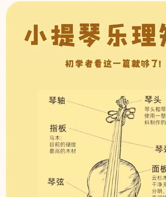 梦见小提琴的7个心理现象解析与专家建议 梦见小提琴的7个心理现象解析与专家建议