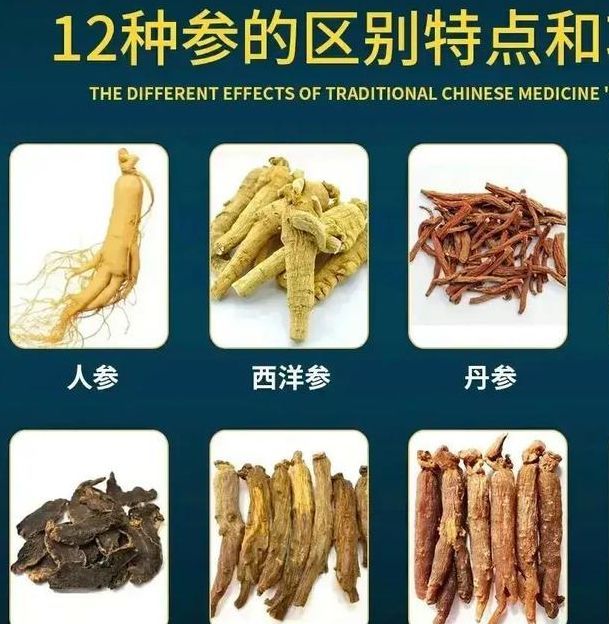 梦见人参预示哪些？揭秘背后的深层寓意与财富暗示！