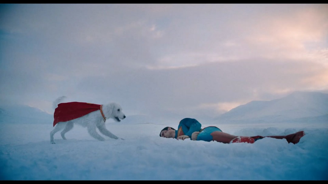 游戏界的惊喜:超人电影版新加长预告——超狗小氪为何抢尽风头? 游戏界的惊喜:超人电影版新加长预告——超狗小氪为何抢尽风头?