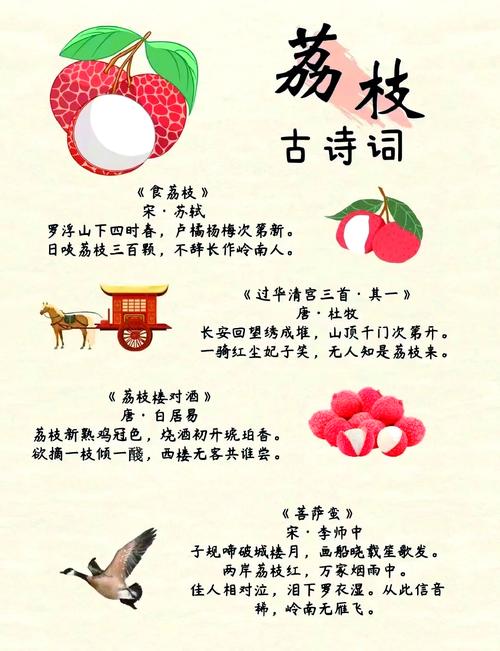 梦见荔枝深意解析解读梦境中的荔枝象征，开启内心财富之门！