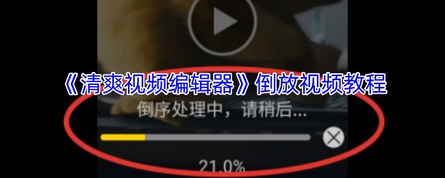 揭秘：如何用清爽视频编辑器倒放视频，创造意想不到的视觉效果？