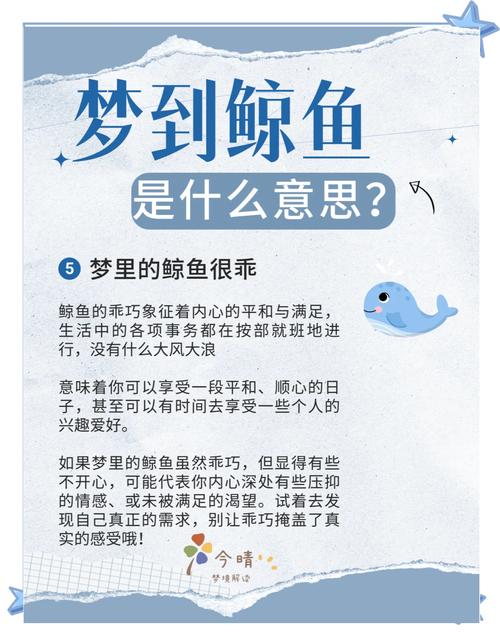 梦见鲸鱼的5大解读深度剖析梦境信息与内心世界 梦见鲸鱼的5大解读深度剖析梦境信息与内心世界