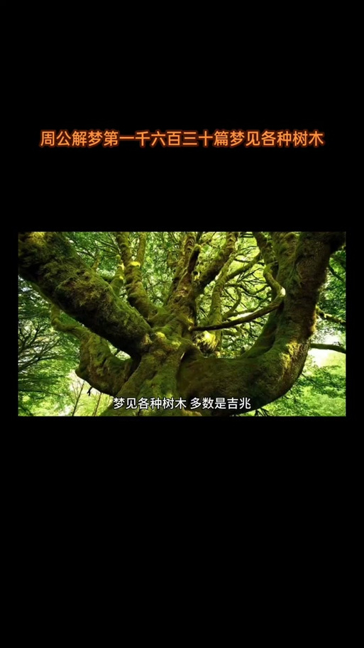 为何梦见照相机会影响运势？解读心理暗示的意义与应对技巧