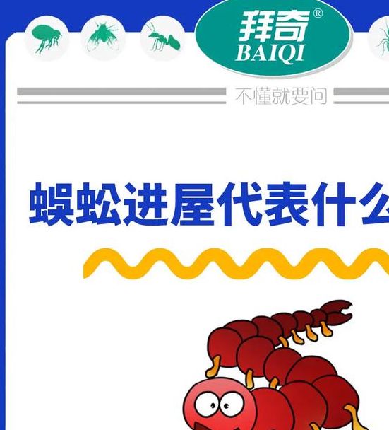 梦见蜈蚣预示着哪些？解密背后隐藏的寓意与运势！