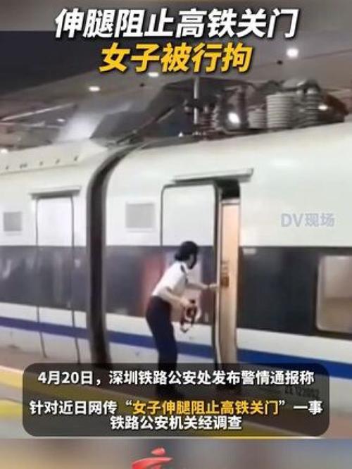 为什么女子会因为阻止高铁关门而被行拘？