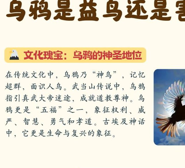 揭秘梦见大乌鸦的深层含义，让你解锁潜在好运