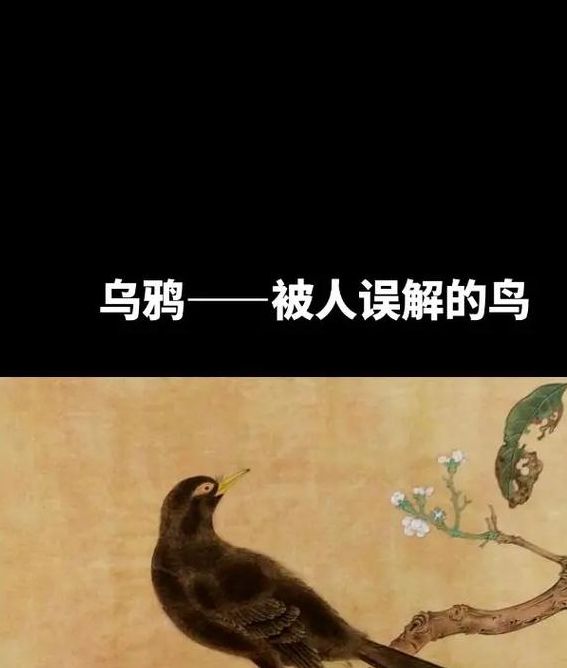 揭秘梦见大乌鸦的深层含义，让你解锁潜在好运