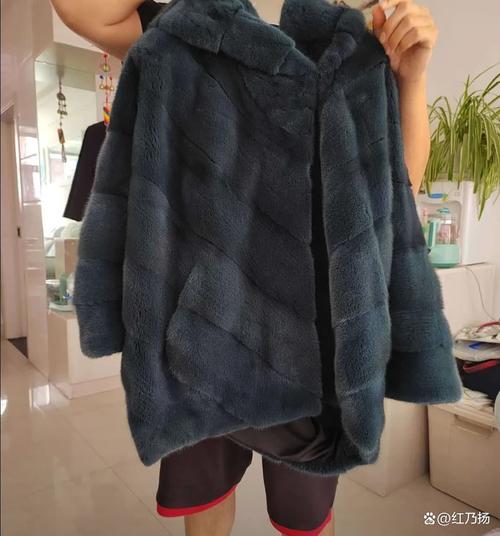 梦见貂皮大衣的深度解析解密其象征意义与心理暗示