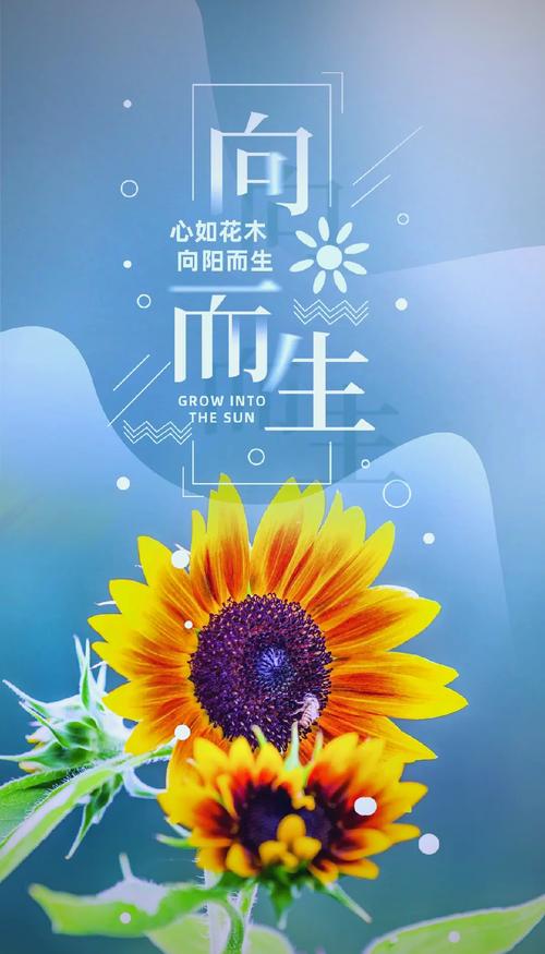 梦见阳光照身寓意解读高效解析内心阳光的积极象征