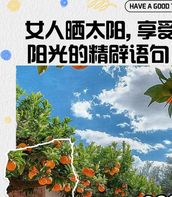 梦见阳光照身寓意解读高效解析内心阳光的积极象征