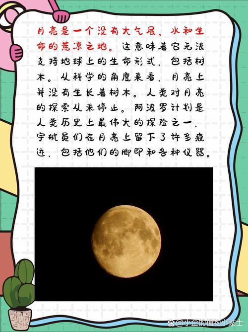 解读梦见月亮挂树梢的独特含义，开启好运人生之旅